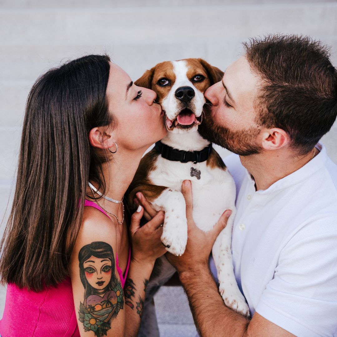 Ce que les animaux de compagnie révèlent de votre vie amoureuse